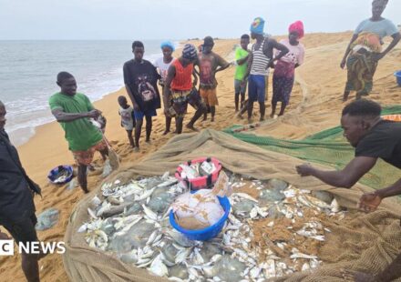 The African fishermen who blame Chinese trawlers for their woes