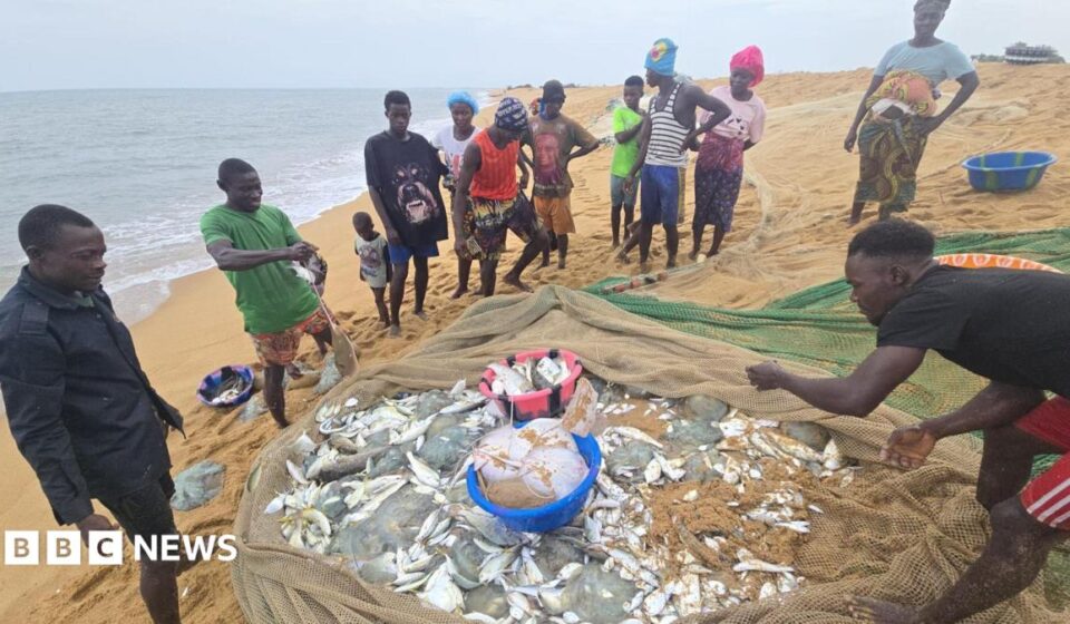 The African fishermen who blame Chinese trawlers for their woes