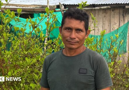 This farmer wanted to quit the cocaine industry - he couldn't
