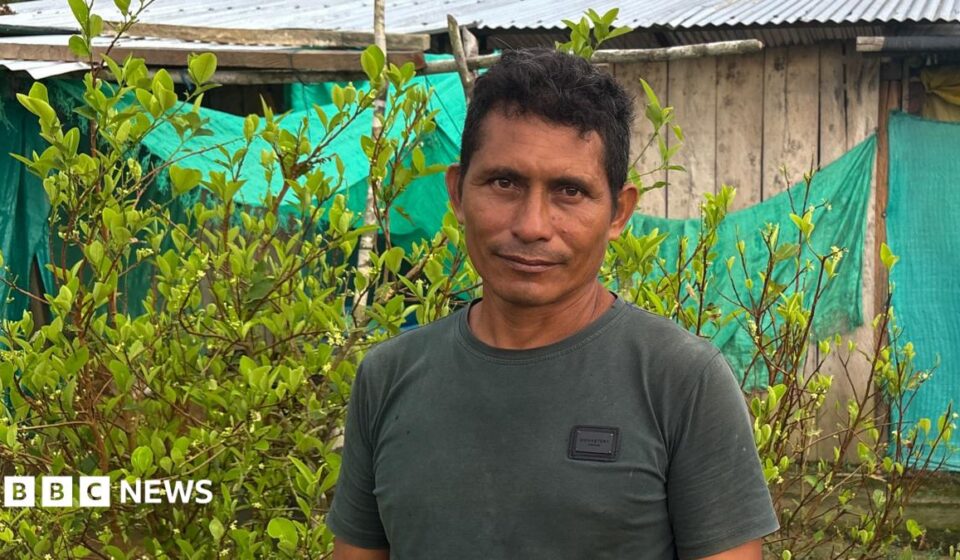 This farmer wanted to quit the cocaine industry - he couldn't