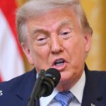Trump alleges China meddled in 2020 election and questions voting security ahead of midterms