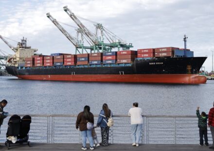 Trump sued over new tariffs, experts say courts may scrap them