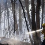Twelve die in wildfire in Spain as heatwave continues in southern Europe