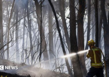 Twelve die in wildfire in Spain as heatwave continues in southern Europe