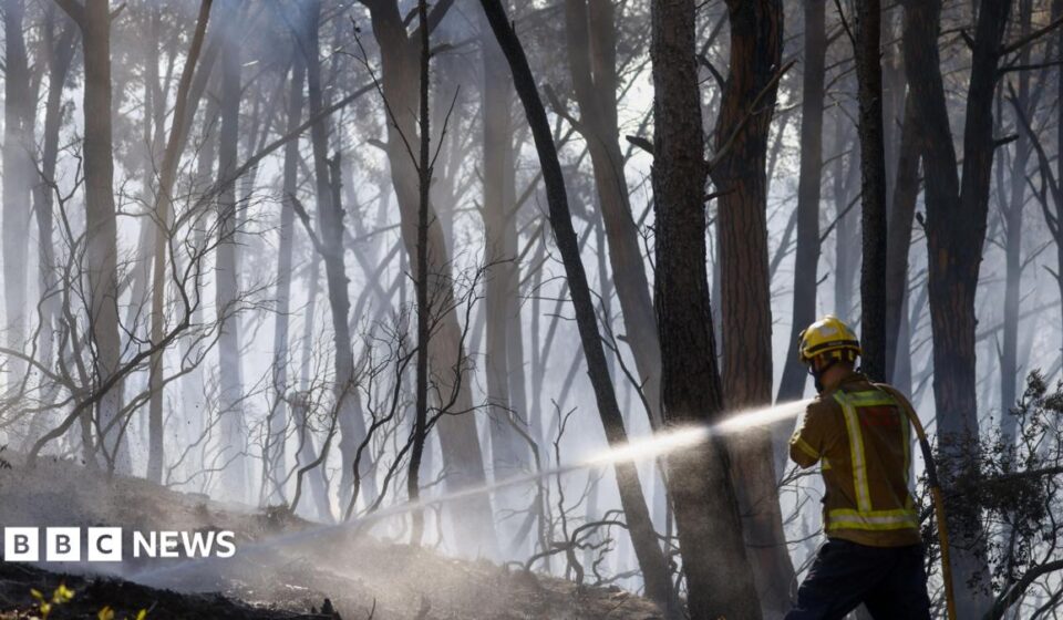 Twelve die in wildfire in Spain as heatwave continues in southern Europe