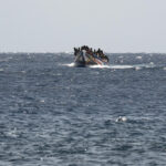 UN says 144 migrants and refugees reported dead or missing off the coast of Mauritania