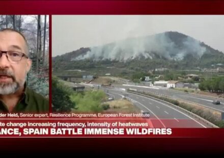'Unprecedented but unsurprising': Climate change & lack of prevention behind wildfires, extreme heat