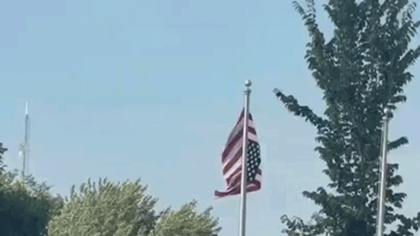 Upside-down American flag at Somali event in Minnesota goes viral