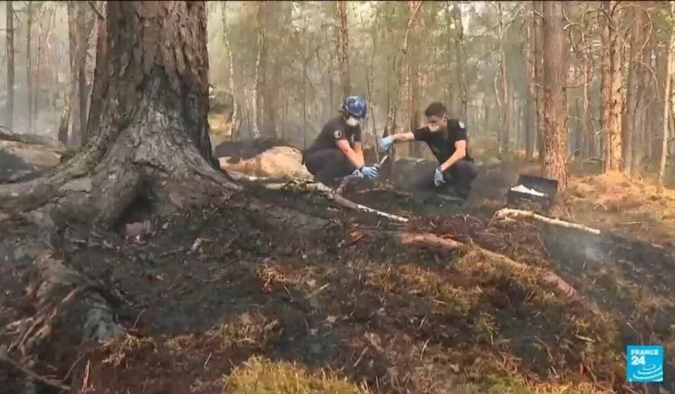 Volunteer firefighter admits to starting a fire in the Fontainebleau forest