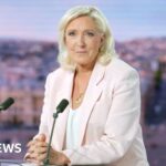 Watch: Marine Le Pen confirms run for French presidency