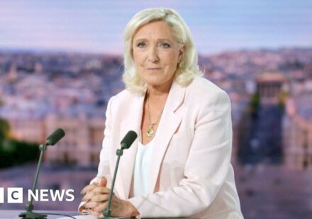 Watch: Marine Le Pen confirms run for French presidency