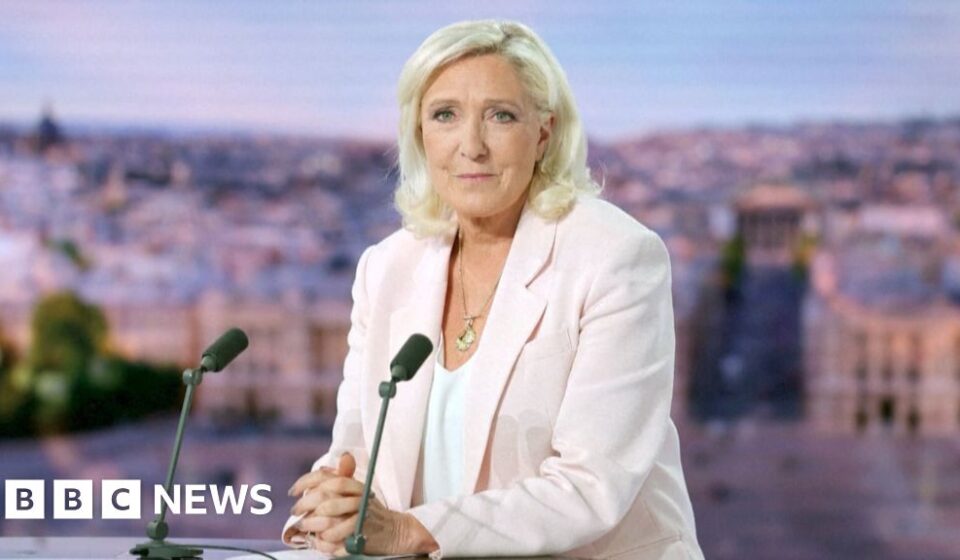 Watch: Marine Le Pen confirms run for French presidency