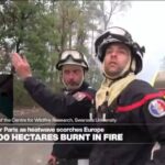 'We will never eliminate the risk of fire completely', expert says as wildfire rages south of Paris - A propos