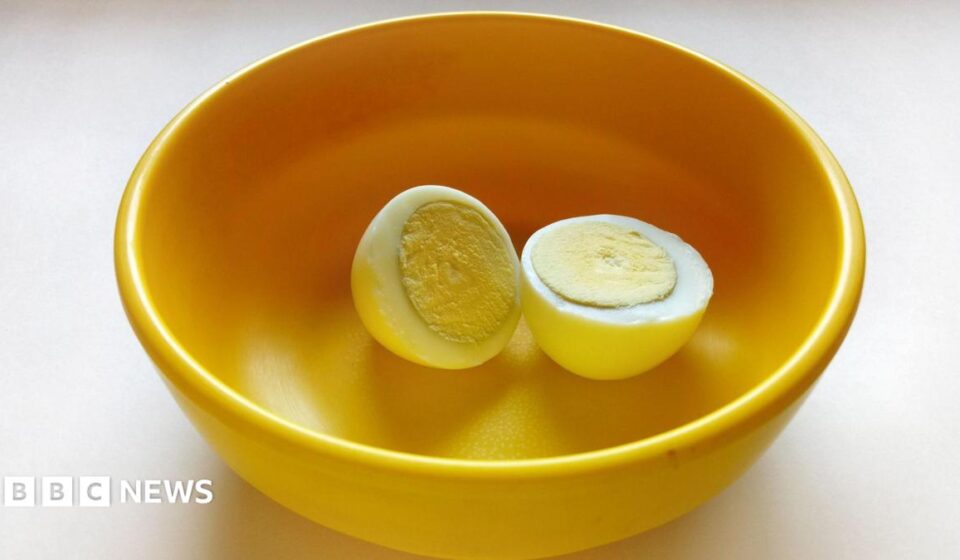 West Bengal: The fight over eggs in India's mid-day meals