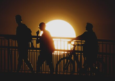 Western Europe heatwaves hit GDP, food and insurance