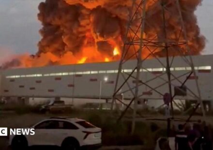Wildberries: Russia's businesses under strain from Ukraine's attacks on retail warehouses