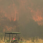 Wildfire kills 12 in southern Spain as victims found in vehicles