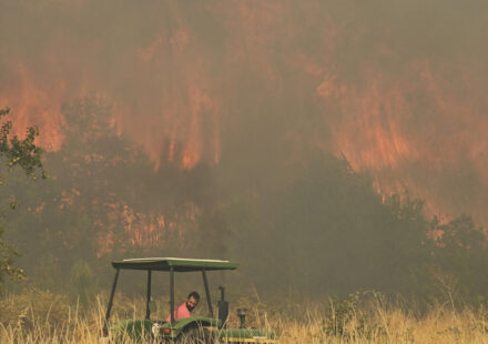 Wildfire kills 12 in southern Spain as victims found in vehicles