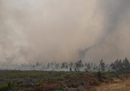 Wildfires: The ominous 'fire clouds' or 'pyrocumulonimbus' seen in France for the first time