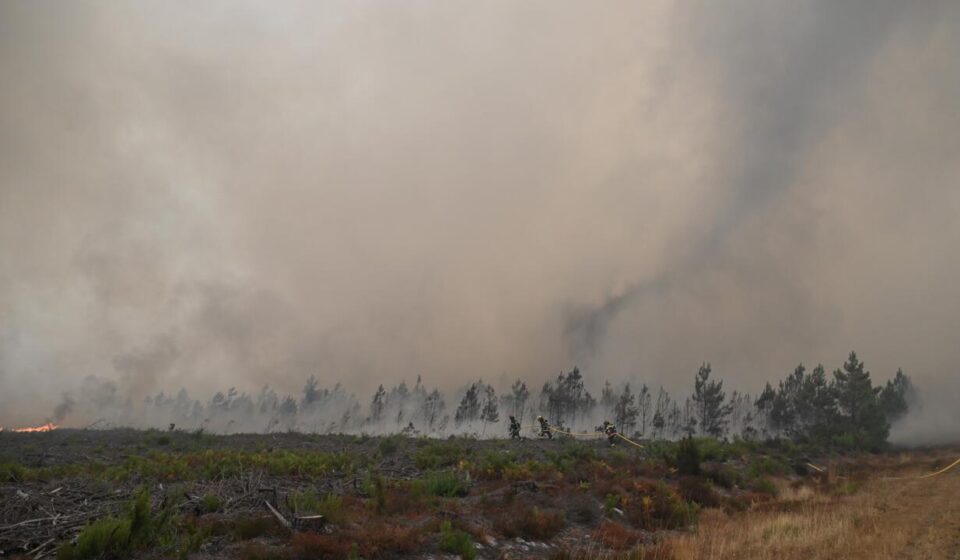 Wildfires: The ominous 'fire clouds' or 'pyrocumulonimbus' seen in France for the first time