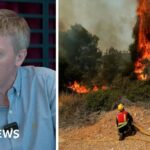 Wildfires: What you need to know for travel to France or Spain