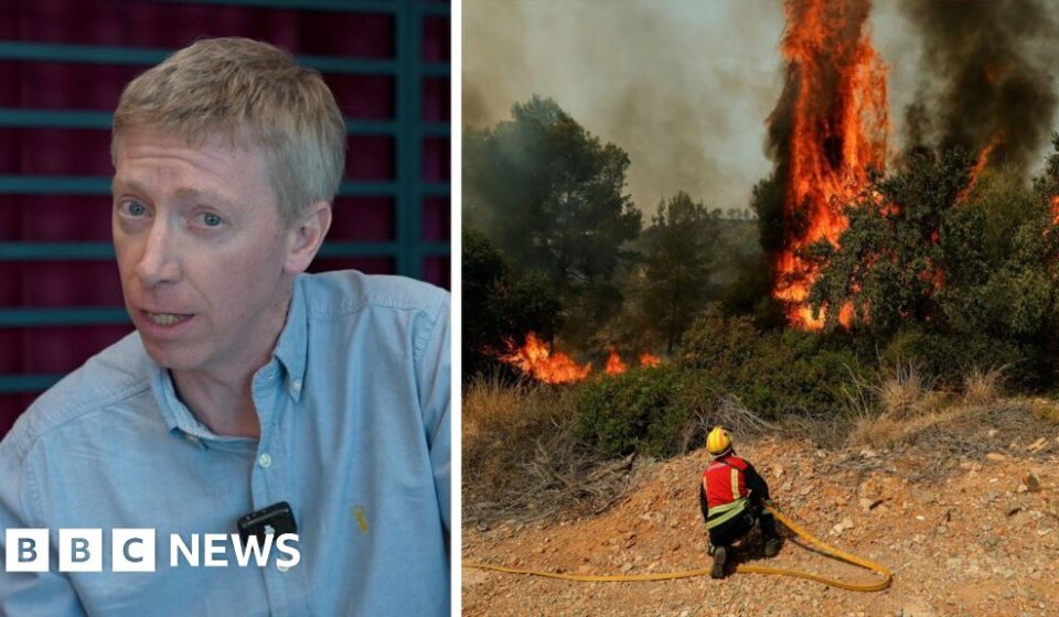 Wildfires: What you need to know for travel to France or Spain