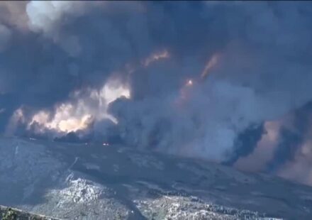 Wildfires in Spain: Record temparatures accelerate spread of blazes