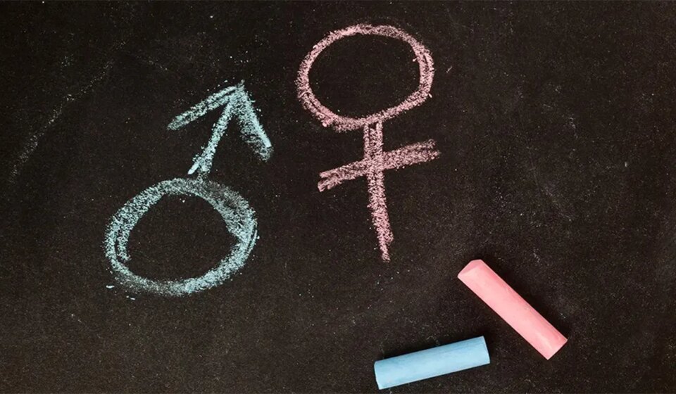 3 detransitioners claim doctors pressured them into treatment as teens