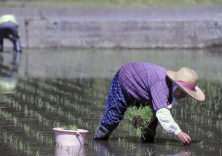 Agricultura: La guerra en Irán genera una crisis que puede agravarse