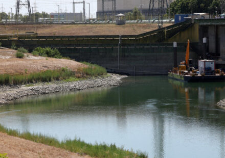 Amid a drought and soaring temperatures, Hungary shuts down its nuclear plant