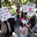 Argentines march on Peter Thiel's mansion
