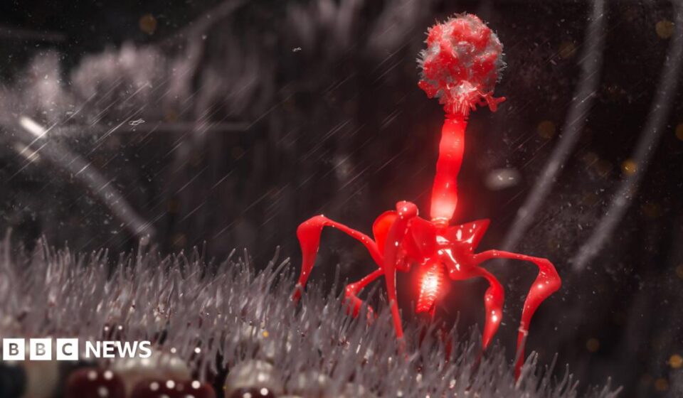Artificial Intelligence used to design brand new viruses