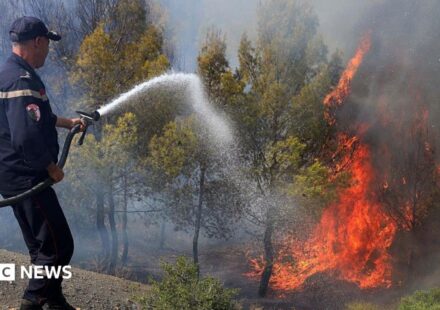 At least 12 dead as wildfires sweep through northern Algeria