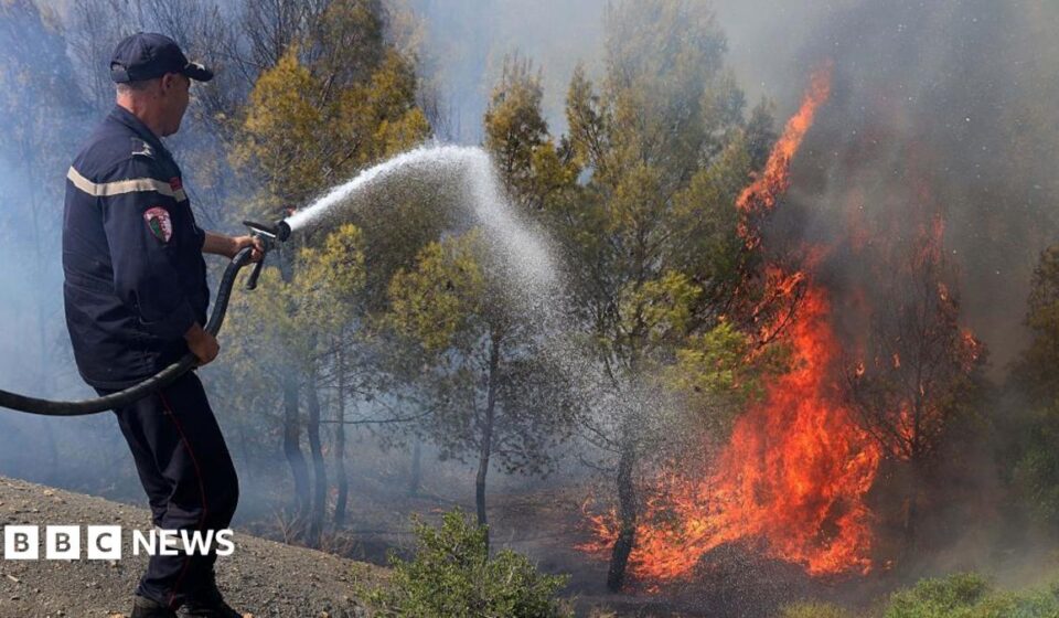 At least 12 dead as wildfires sweep through northern Algeria