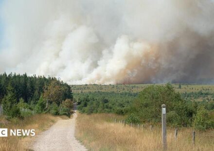Belgian firefighters battle blaze tearing through nature reserve