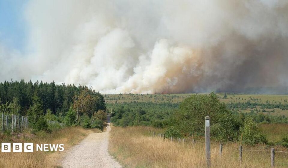 Belgian firefighters battle blaze tearing through nature reserve