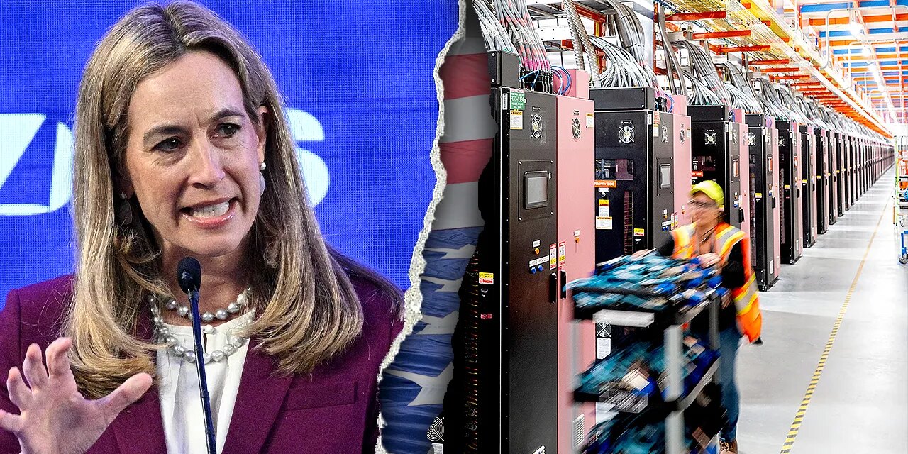 Blue, red states take different paths to protect families from AI power boom