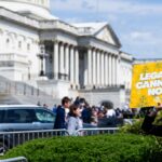 Cannabis reform is emerging as midterms elections issue
