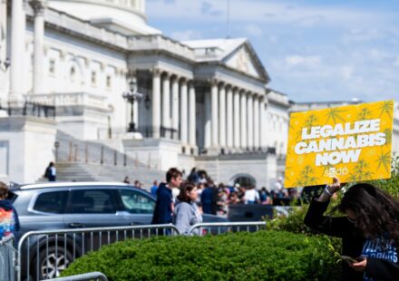 Cannabis reform is emerging as midterms elections issue