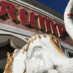 Capital One bank cites money-laundering probe to justify closing Trump Organization accounts