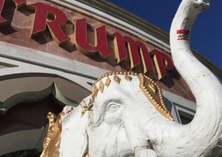 Capital One bank cites money-laundering probe to justify closing Trump Organization accounts
