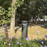 China: Trampas inteligentes y menta: primer parque sin mosquitos