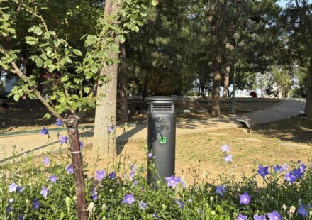 China: Trampas inteligentes y menta: primer parque sin mosquitos