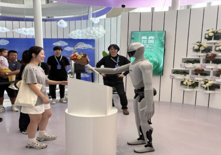 Chinese humanoid robots face challenge of their own capabilities