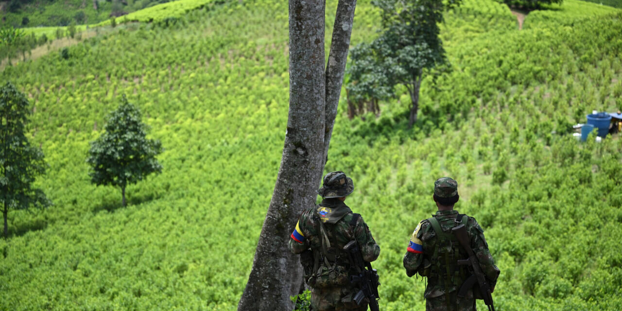 Colombian rebel group say kidnapped French Foreign Legion soldier is still alive