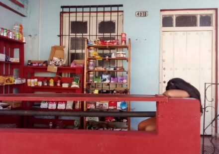 Comercio: “El dominó está cerrado” para los pequeños negocios