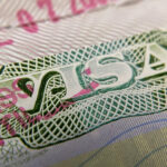 'Contrary to law': US judge strikes down Trump's 75-country visa ban
