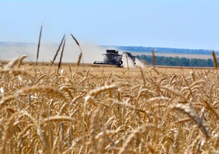 Corn and wheat prices jump to highest prices in more than three years