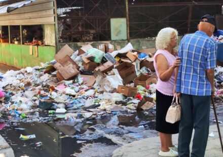 Crónica: Los días de la fiebre