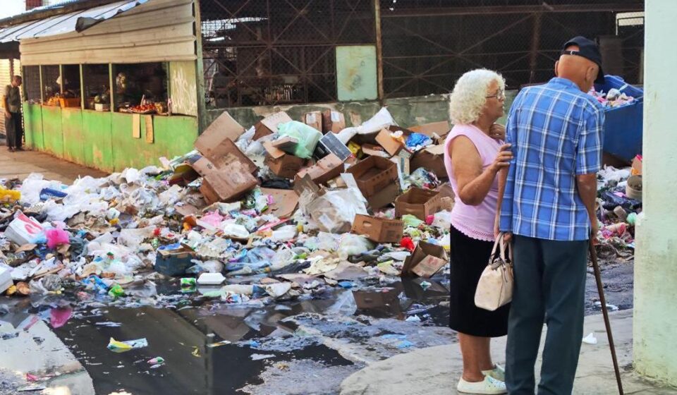 Crónica: Los días de la fiebre